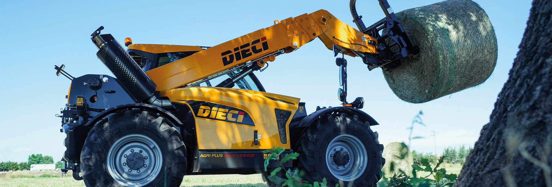 Dieci