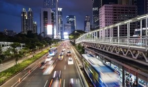 Our Accelerate+ strategy delivers on our purpose