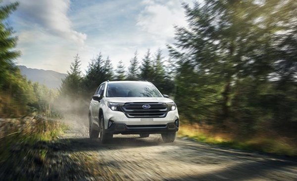 Subaru Academy: the new regional platform enhancing the brand experience in Latin America