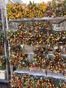 Flower Market